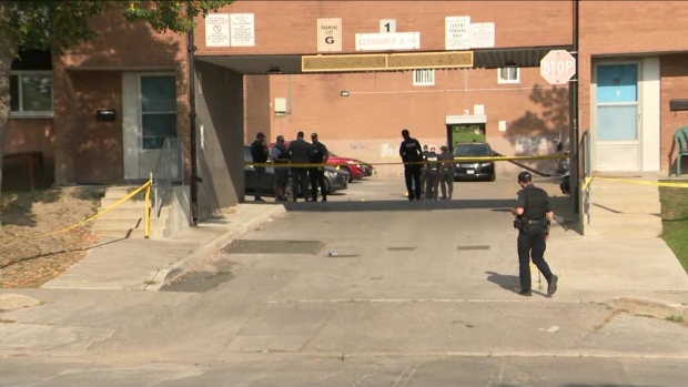 Police are investigating a fatal shooting in the area of Driftwood and Jane on Tuesday, Sept. 17, 2024. (CP24)