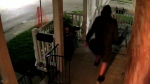 Porch Pirate 