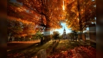 FILE - In this photo taken with a slow shutter speed, autumn's colors peak on hardwood trees in a cemetery near the Congregational Church, Monday, Oct. 10, 2016, in Cumberland, Maine. (AP Photo/Robert F. Bukaty, File)