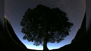 Sycamore Gap