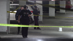 Toronto police are investigating after a man was fatally stabbed in north Scarborough on Sept. 28. (Jacob Estrin/CTV News Toronto)