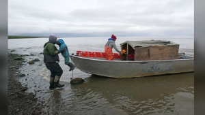 Calvin Tom, left, the tribal administrator, lifts his son Brady Tom into his boat in Mertarvik, Alaska on Wednesday, Aug. 14, 2024. (AP Photo/Rick Bowmer)