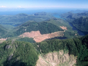 This 1990 aerial photo shows a part of the Tongass National Forest  in Alaska which has patches of bare land, center, where clear-cutting has occurred.