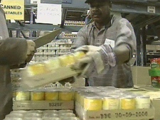 Workers sort food at the Daily Bread Food Bank.