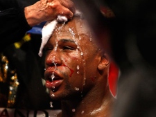 Floyd Mayweather Jr. has his face washed between rounds during his fight against Miguel Cotto in their WBA Super Welterweight title bout at the MGM Grand in Las Vegas on Saturday, May 5, 2012. (AP Photo/Las Vegas Review-Journal, John Locher)