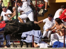 In this Wednesday, Aug. 18, 2010 picture made available Thursday, Aug 19. 2010 a bull leaps into the stands during a bullfight in Tafalla, northern Spain. Up to forty people were injured when a bull  leapt into the packed grandstands of a Spanish bullring and ran amok, charging and trampling on spectators. (AP Photo/Manuel Sagues)